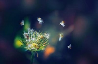 ​瘫痪病人能送养老院吗？老人偏瘫送养老院好吗？