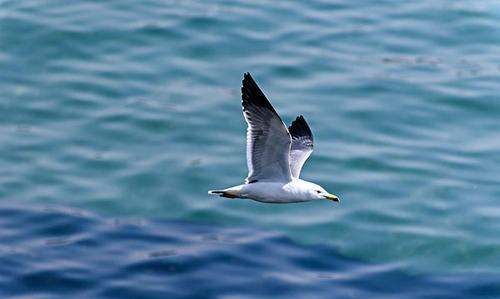 蓝色的象征意义和内涵,湖蓝色的象征意义和内涵图4