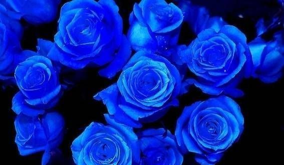 蓝色的含义是什么?寓意是什么?