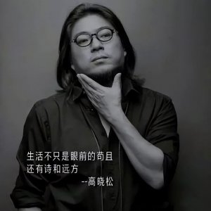 ​高晓松简历及个人资料：“风流才子”高晓松，终究为自己的“狂妄自大”付出了