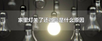 ​家里灯关了还微亮是什么原因 家里灯关了还微亮是什么原因双开
