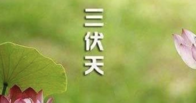 ​伏天是几月几号2025,数伏是几月几号2025