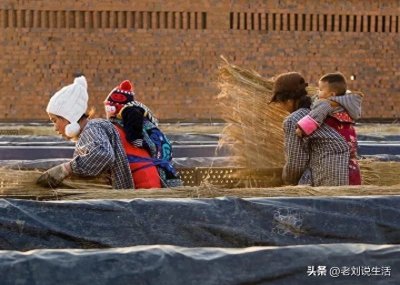 ​吃苦耐劳是中国人骨子里的意识，几千年的优良传统！