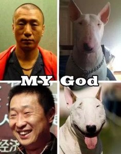 ​牛头梗就是天生的明星脸，不信？look！