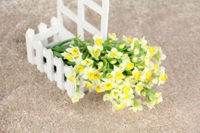 ​水仙秋天怎么养