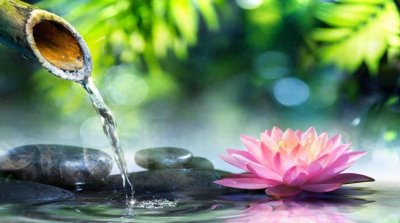 ​如何保持心静？学会这8个方法，让你的生活更加平衡和美好！