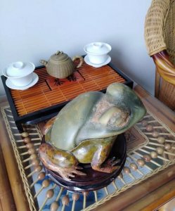 ​田园卫士是什么动物，你觉得石缘到底是什么？