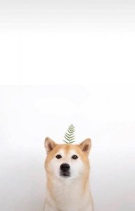 ​喜欢一个人该不该主动找他聊天(该不该一直主动和喜欢的人聊天)