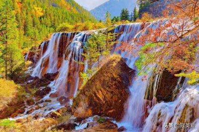 ​老人都喜欢干些什么(老年人喜欢干什么事)