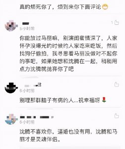 ​沈腾老婆被网友痛骂：烦死你了！沈腾和马丽才应该是一对