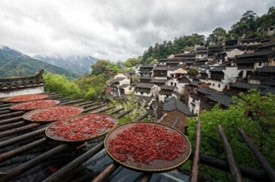 ​春季出游六大胜地，每一个都不容错过！