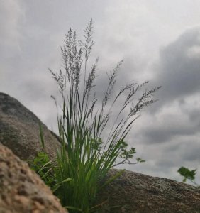 ​到底啥是随缘