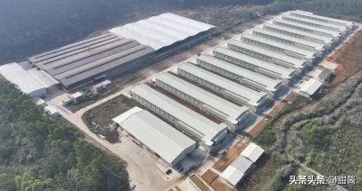 ​二期投产！贵港这个项目年总产值超2亿元