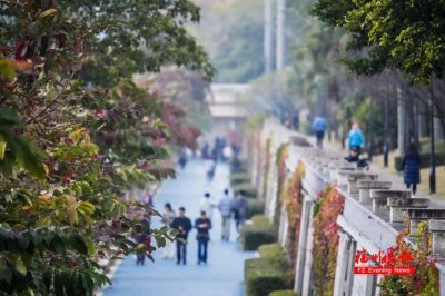 ​南方这轮降雪将集中在这两天！福建迎来2025年第一场雪？