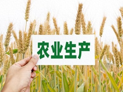 ​中国十大种子公司