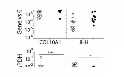 ​如何重燃爱情的火花？教你5个简单有效的方法