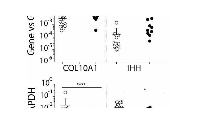 如何重燃爱情的火花?教你5个简单有效的方法 如何重燃爱情的火花?教你5个简单有效的方法