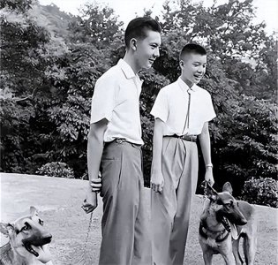 ​蒋介石“二孙”蒋孝武：花十年去追18岁女家教