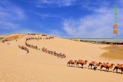 ​宁夏周边热门旅游胜地推荐：沙湖景区与贺兰山美景