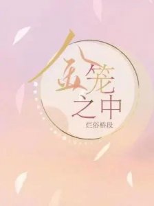 ​「耽美」《金笼之中》追妻火葬场 占有欲强疯批霸总攻×温柔善良受