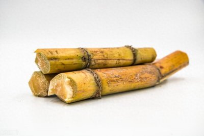 ​广西贵港木格镇白玉蔗产业发展的问题及对策研究