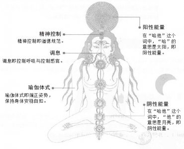 ​什么是哈他瑜伽？它的派系及具体要求有些？