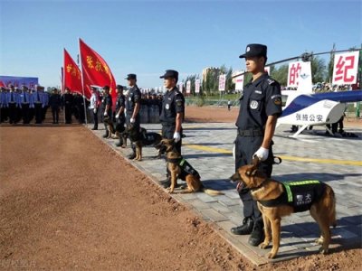 ​辅警和协警有什么不同，为什么推荐大学生选择辅警，看完你就懂了