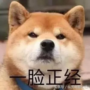 ​因为《爵迹2》多了TFBOYS，很多人从看到宣传海报时惊慌失措