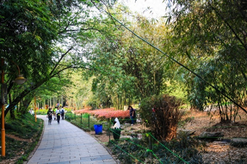 天然的大氧吧，湖南省森林植物园，也叫长沙植物园