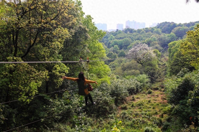 天然的大氧吧，湖南省森林植物园，也叫长沙植物园