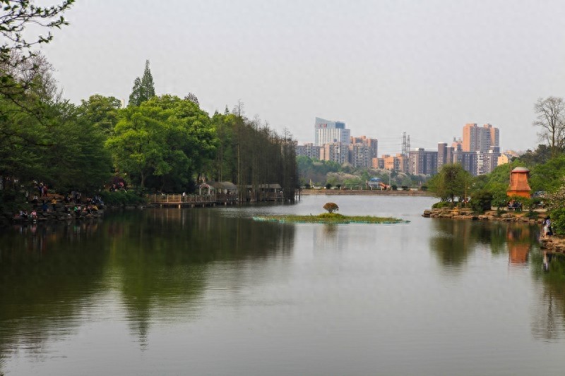 天然的大氧吧，湖南省森林植物园，也叫长沙植物园