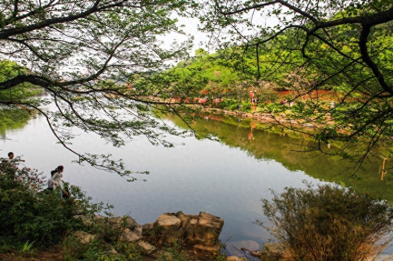天然的大氧吧，湖南省森林植物园，也叫长沙植物园