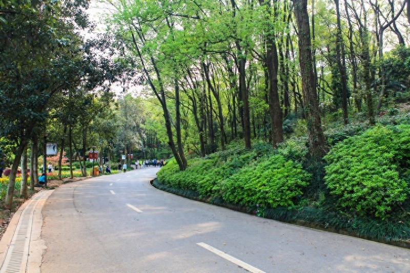 天然的大氧吧，湖南省森林植物园，也叫长沙植物园