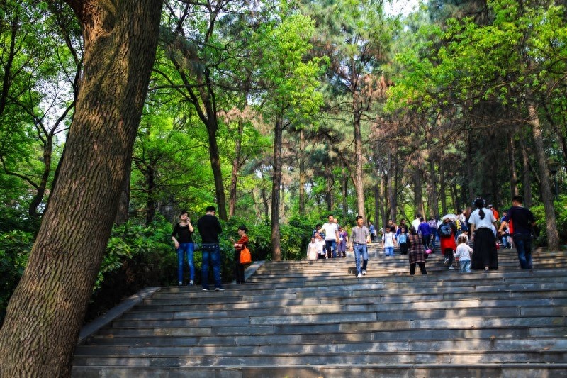 天然的大氧吧，湖南省森林植物园，也叫长沙植物园