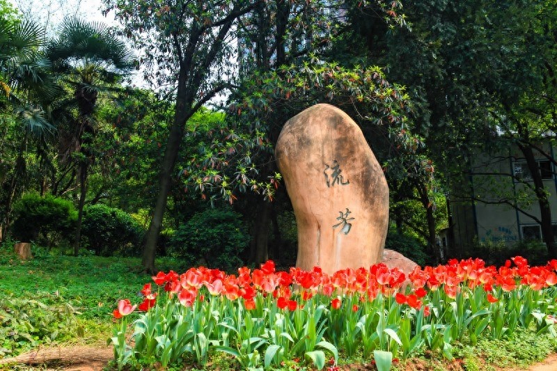 天然的大氧吧，湖南省森林植物园，也叫长沙植物园
