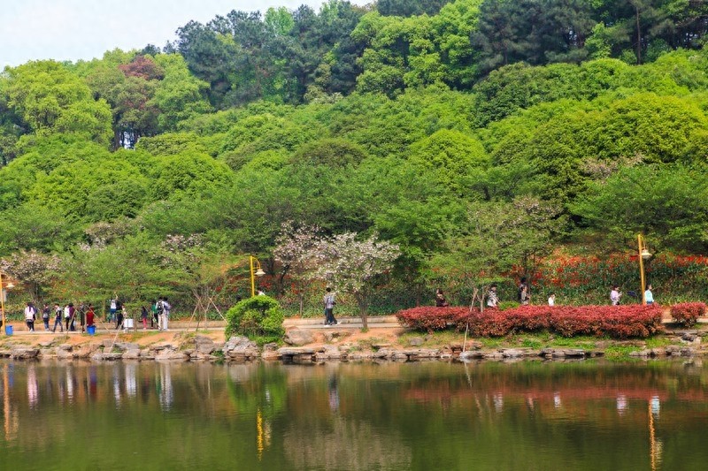 天然的大氧吧，湖南省森林植物园，也叫长沙植物园