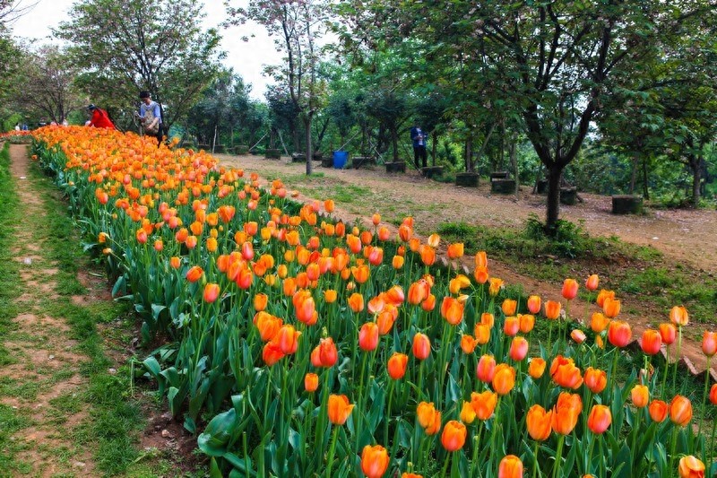 天然的大氧吧，湖南省森林植物园，也叫长沙植物园