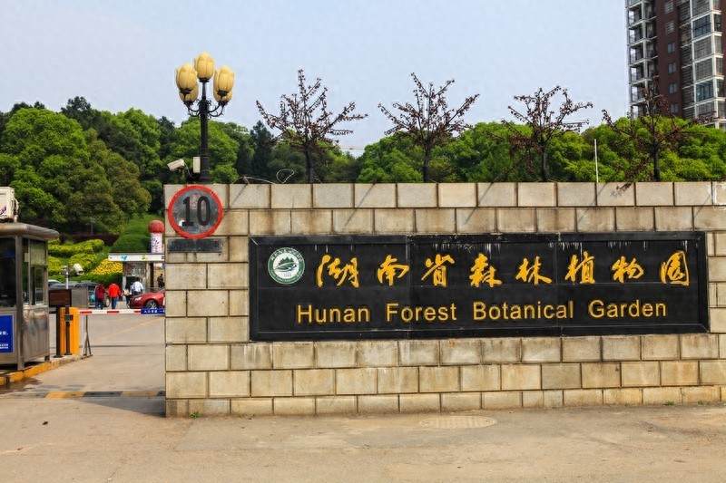 天然的大氧吧，湖南省森林植物园，也叫长沙植物园