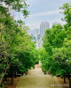 ​烟台押宝福山区，城市向纵深，有望被盘活