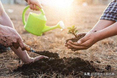 ​#生活最重要的是什么#信任点亮心灯，梦想照亮前路，努力成就人生