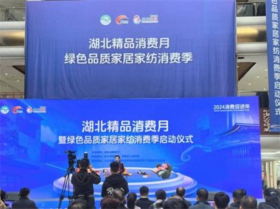 ​武汉今年新引进各类首店412家，零售、餐饮业态首店进驻占比超八成