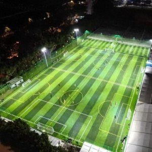 ​正式开放！芳村花鸟鱼虫市场原址有新变化