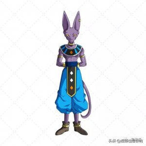 ​斯芬克斯猫（无毛猫）的介绍、饲养、护理和其他注意事项