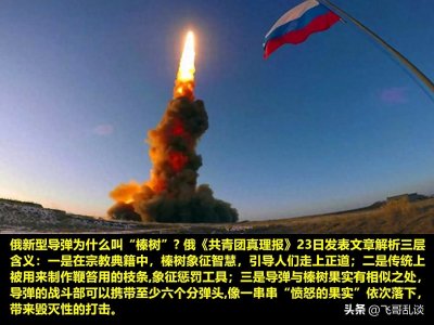 ​乌克兰呼吁合作伙伴：怎样对付俄罗斯“榛树”？反其道而行之