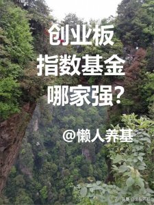 ​创业板指数基金哪家强？