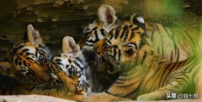 ​强烈推荐20部值得N刷的神级纪录片！