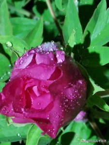 ​高职（专科）报考这18所铁路职业技术学院性价比高