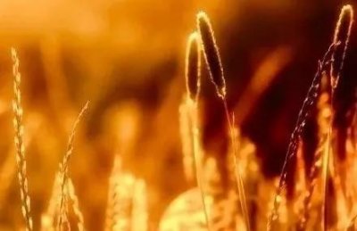 ​睡到自然醒的说说经典句子，拿去发朋友圈吧