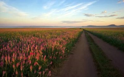 ​祝考试顺利的话怎么说（激励高考生的暖心句子）