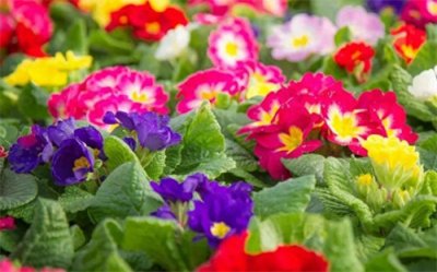 ​秒杀抢购火爆的句子(秒杀活动的宣传语句)